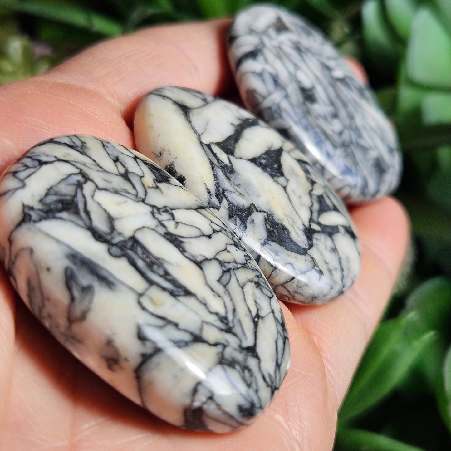 Pinolith Crystal