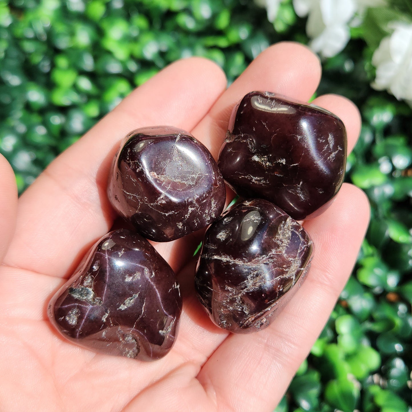 Blood Red Garnet Crystal