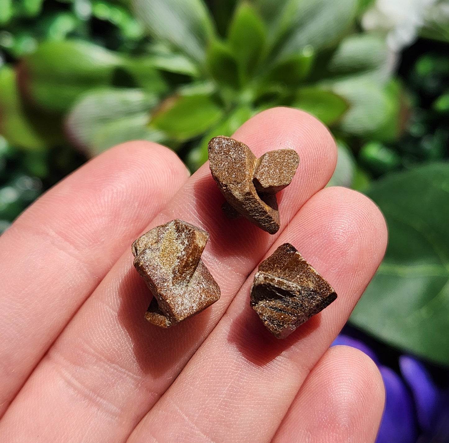 Staurolite Fairy Cross Crystal