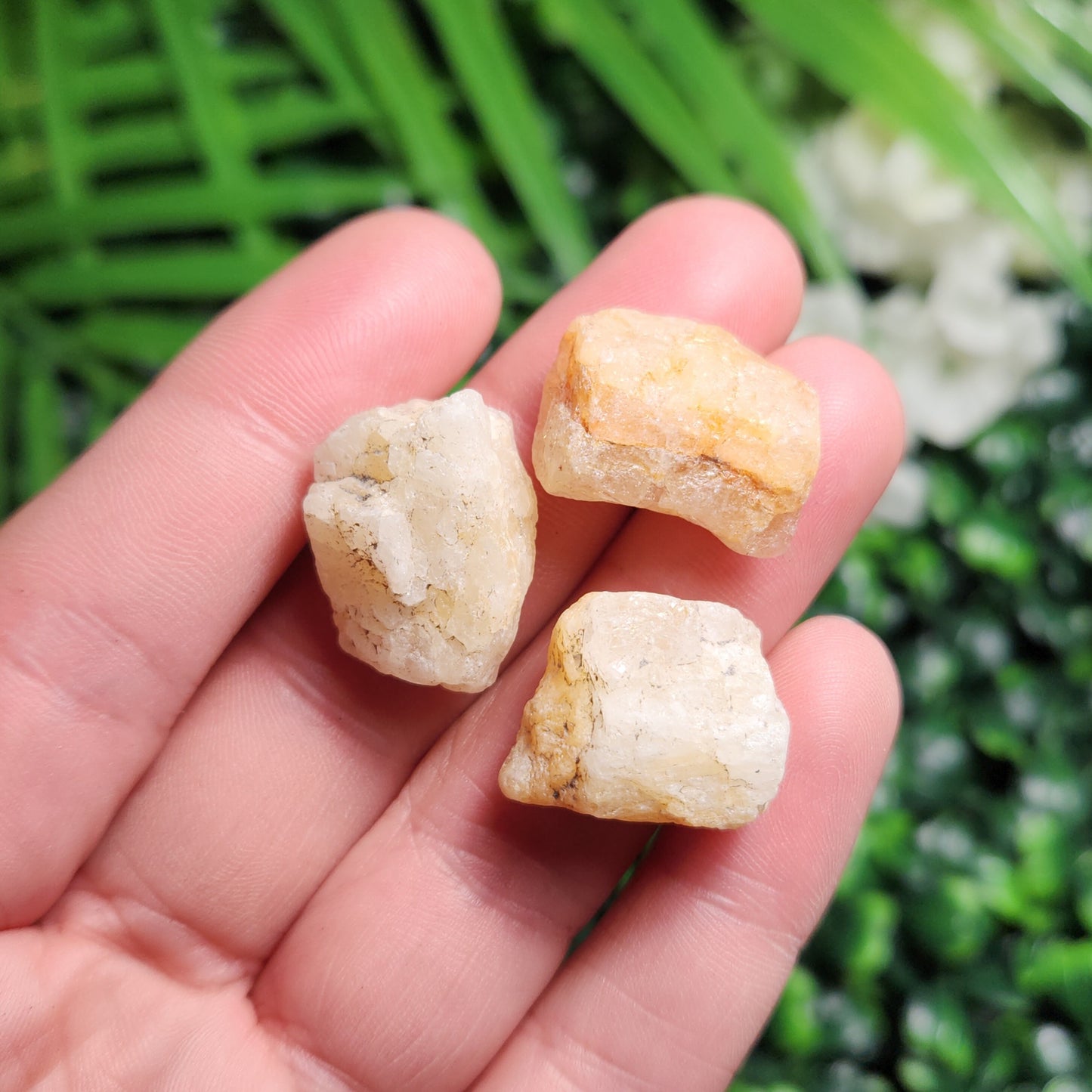 HUGE Phenacite Crystal