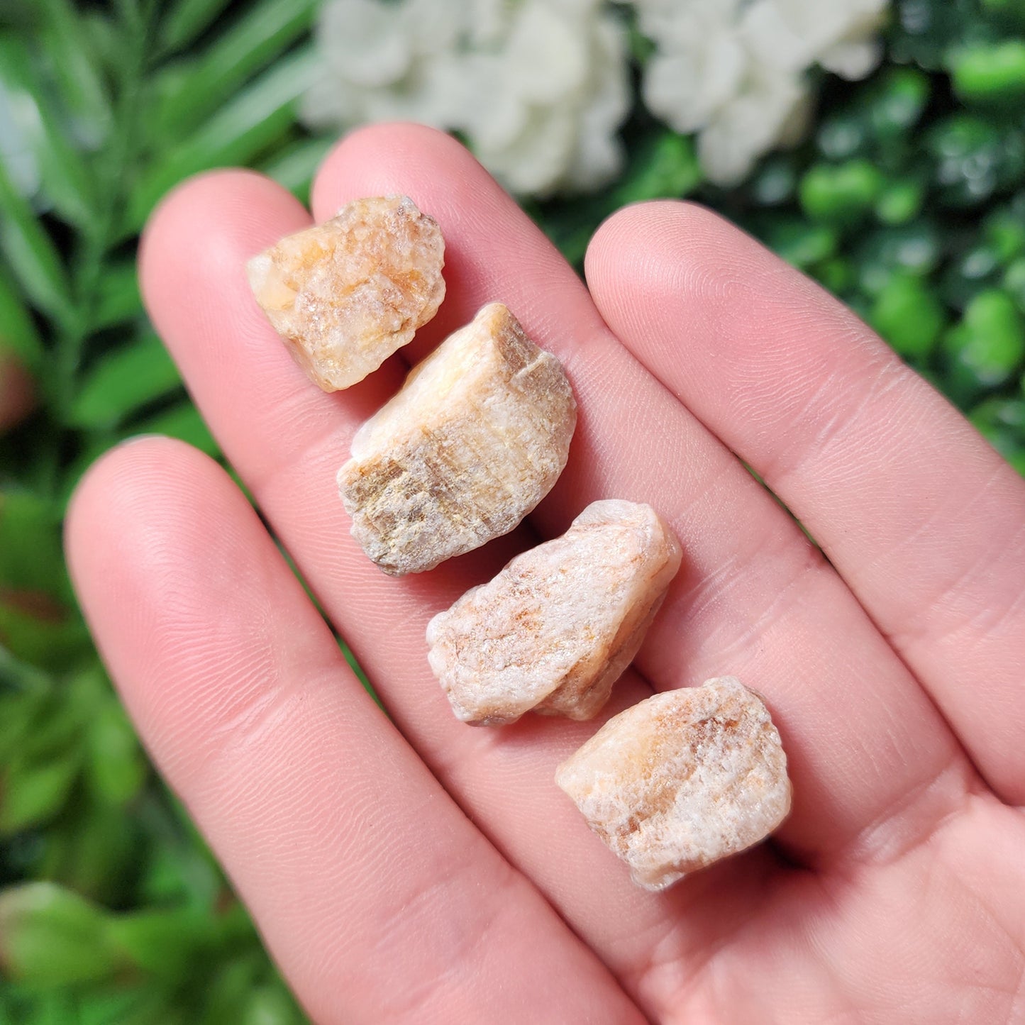 Pink Phenacite Crystal