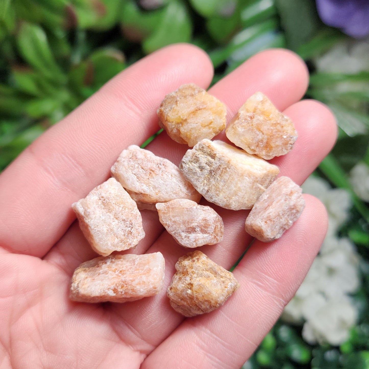 Pink Phenacite Crystal