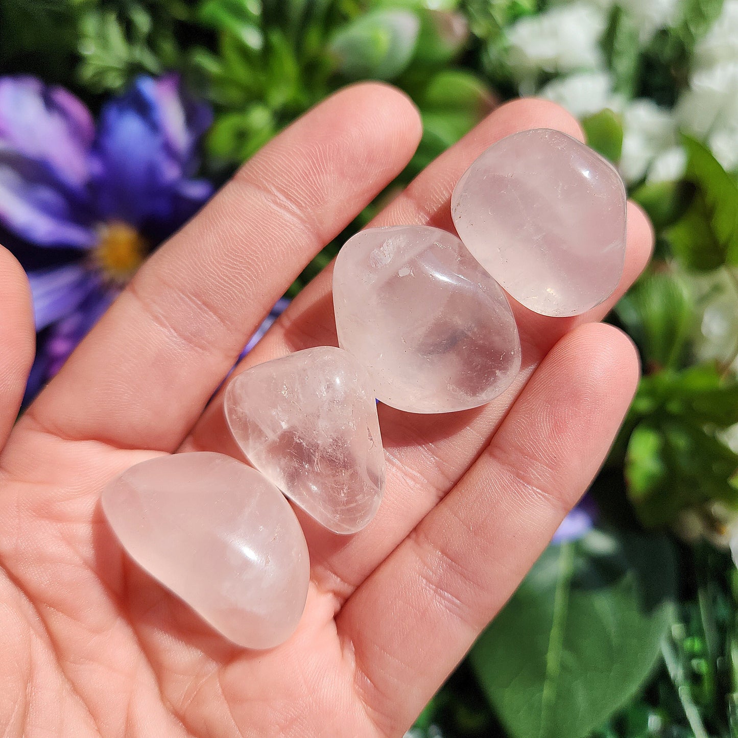 Girasol Rose Quartz
