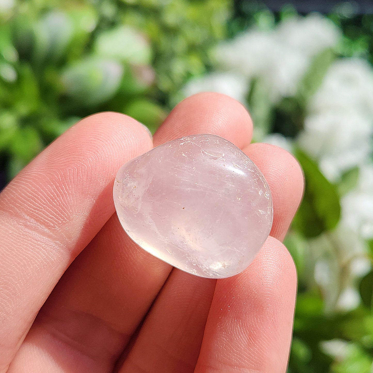 Girasol Rose Quartz