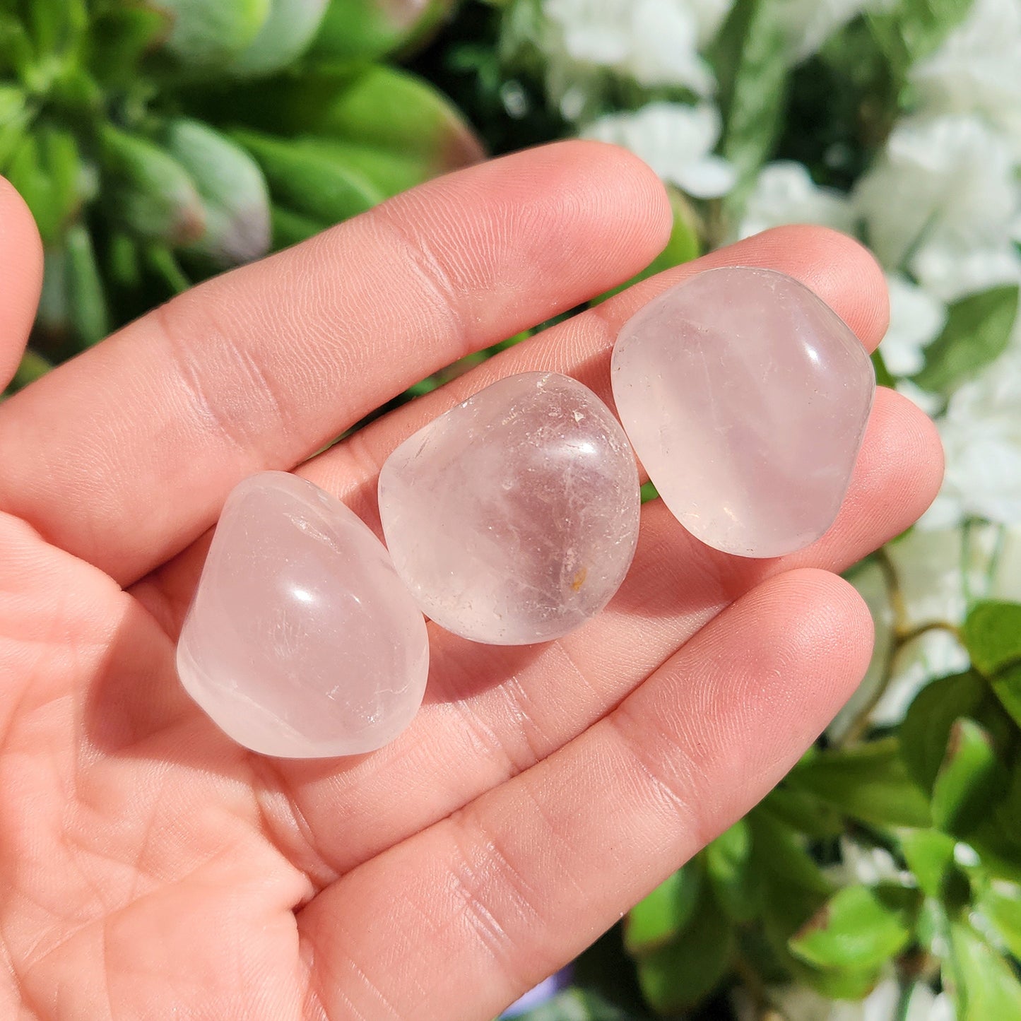 Girasol Rose Quartz