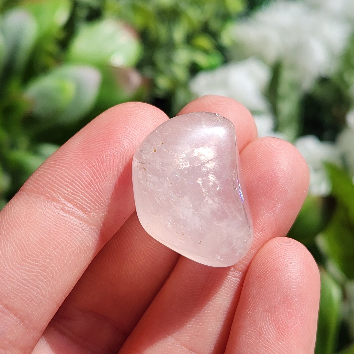 Girasol Rose Quartz