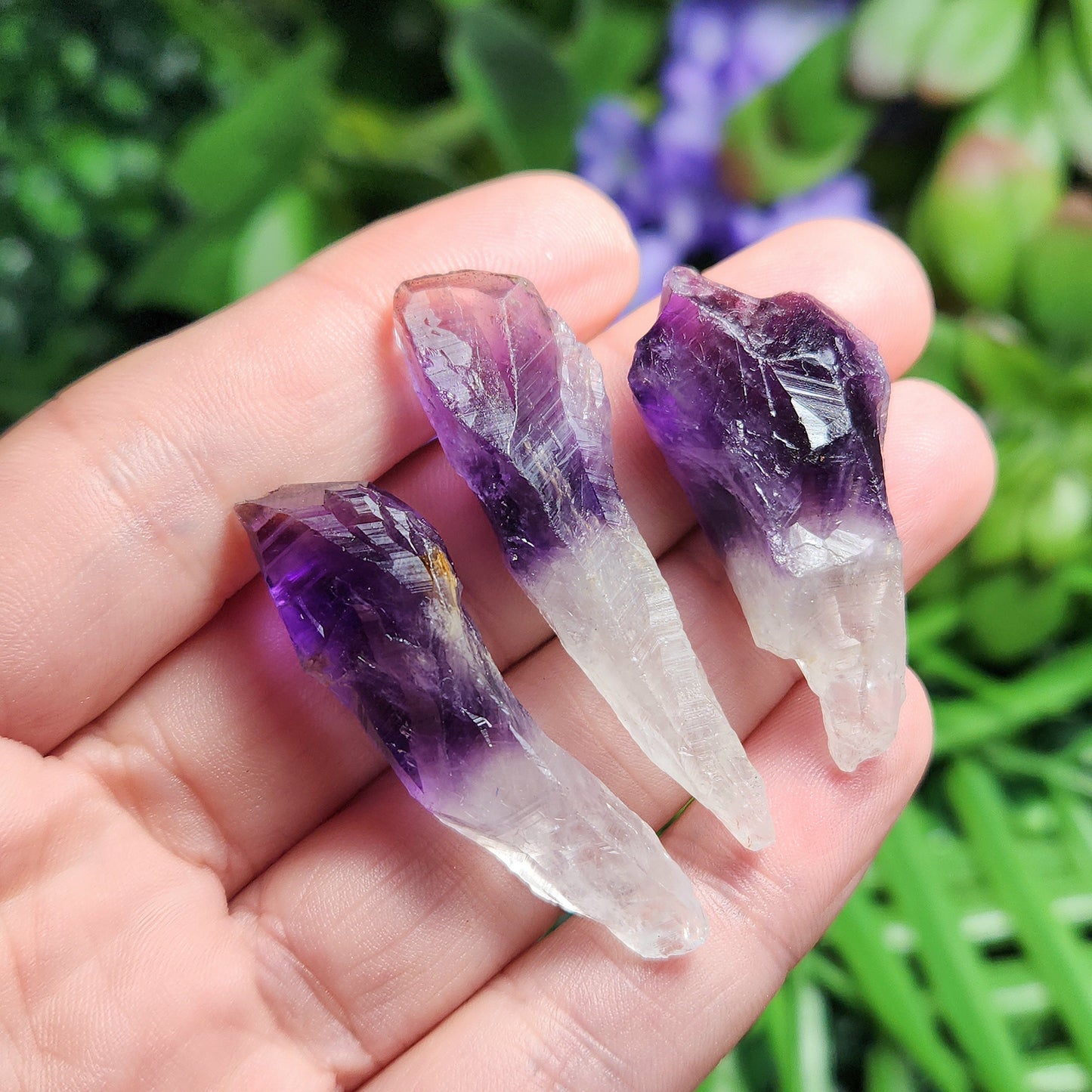 Phantom Amethyst