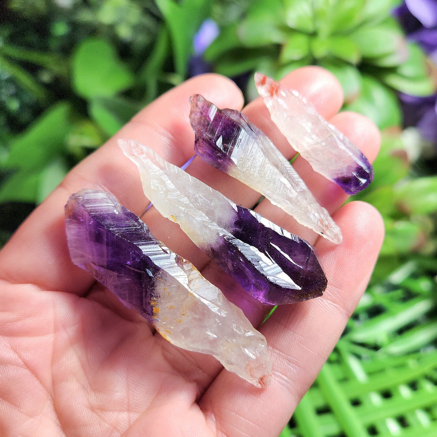 Phantom Amethyst & Red Cacoxenite