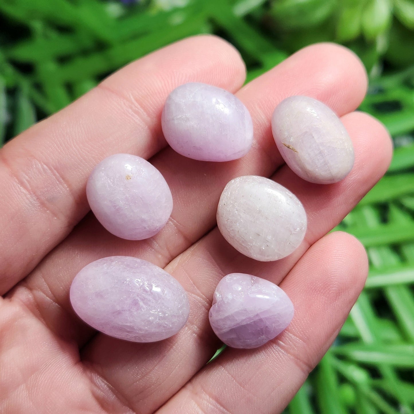 Pink Kunzite "Cats Eye" Crystal