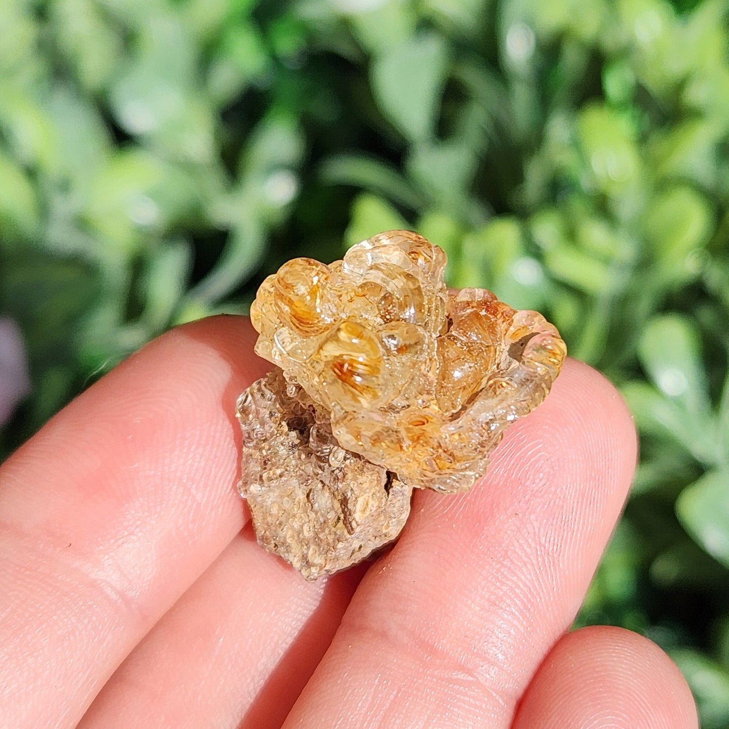 Golden Hyalite Opal
