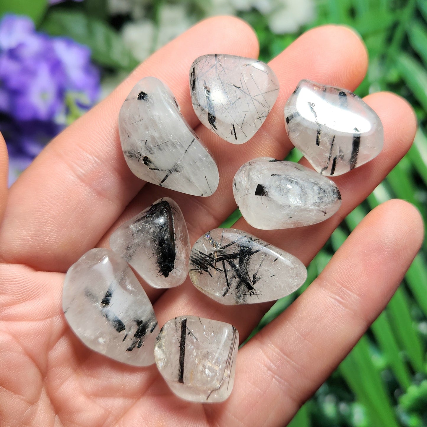 Black Tourmaline in Quartz