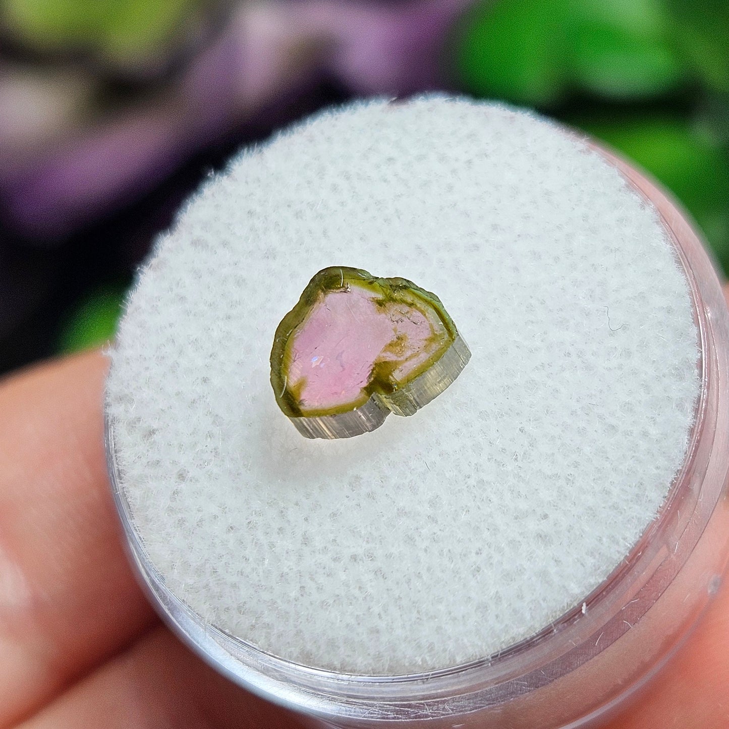 Watermelon Tourmaline Slice