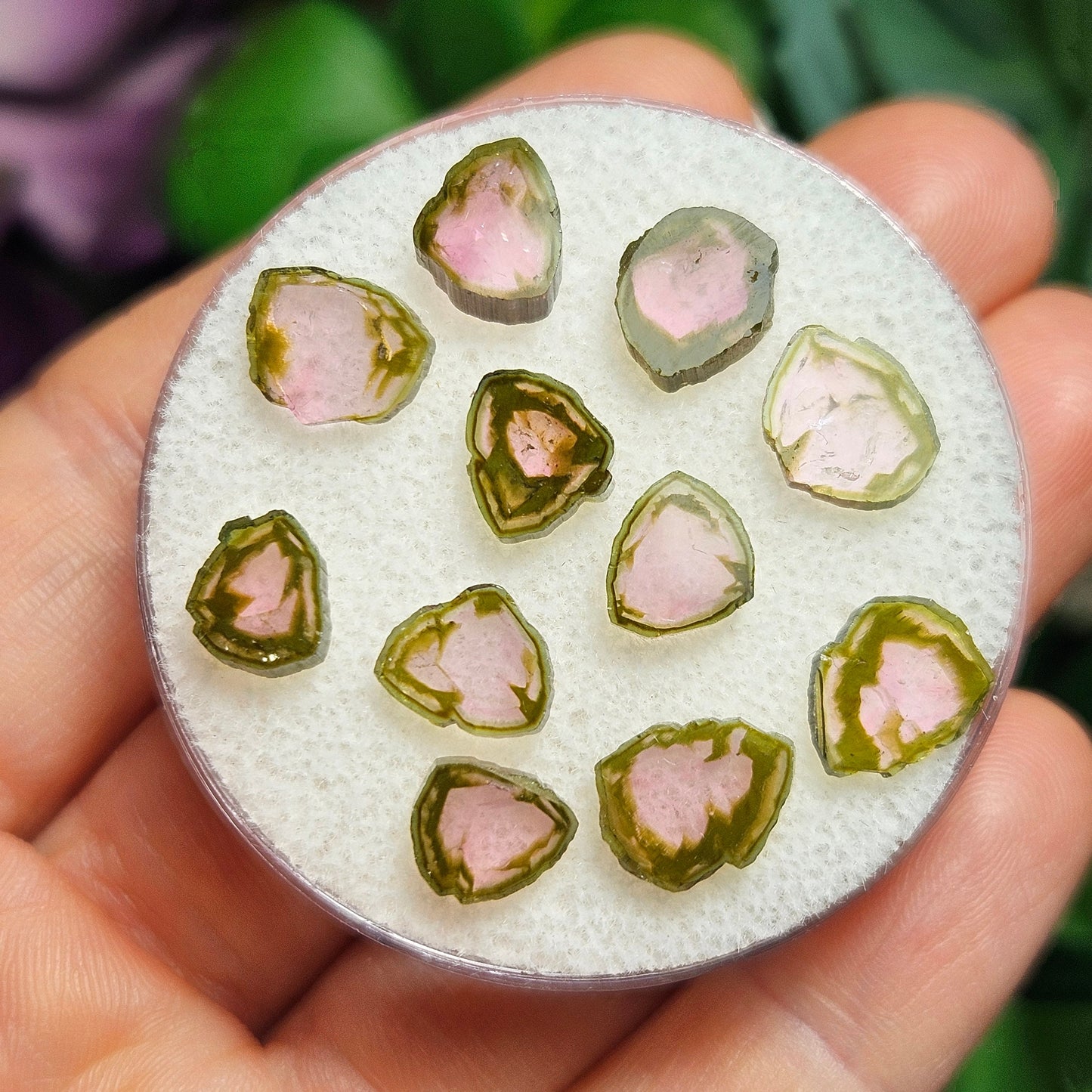 Watermelon Tourmaline Slice