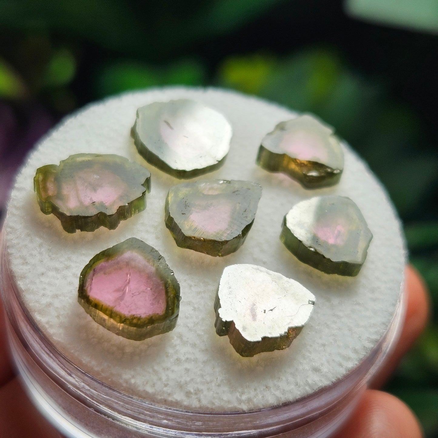 Watermelon Tourmaline Slice