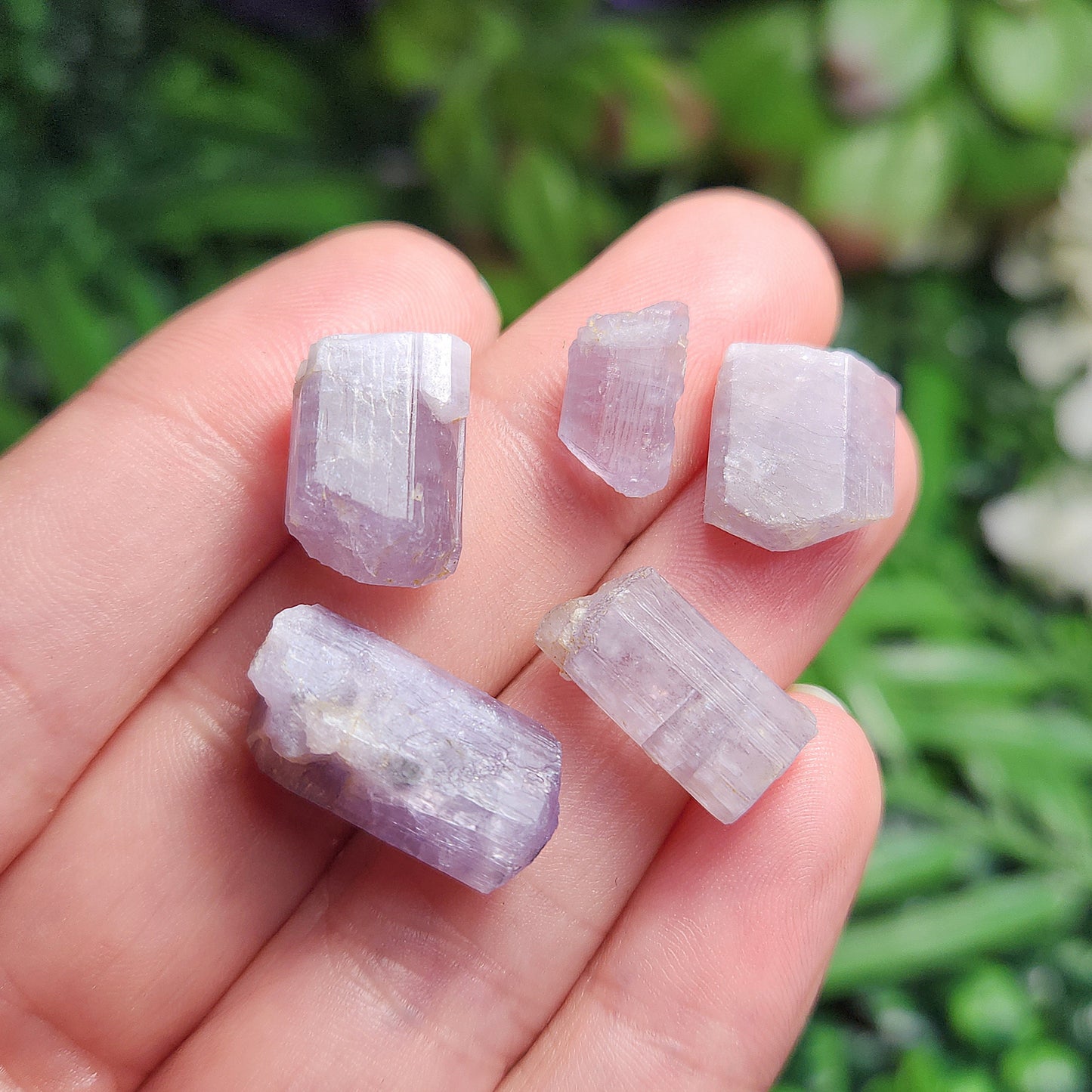 Purple Scapolite Crystal