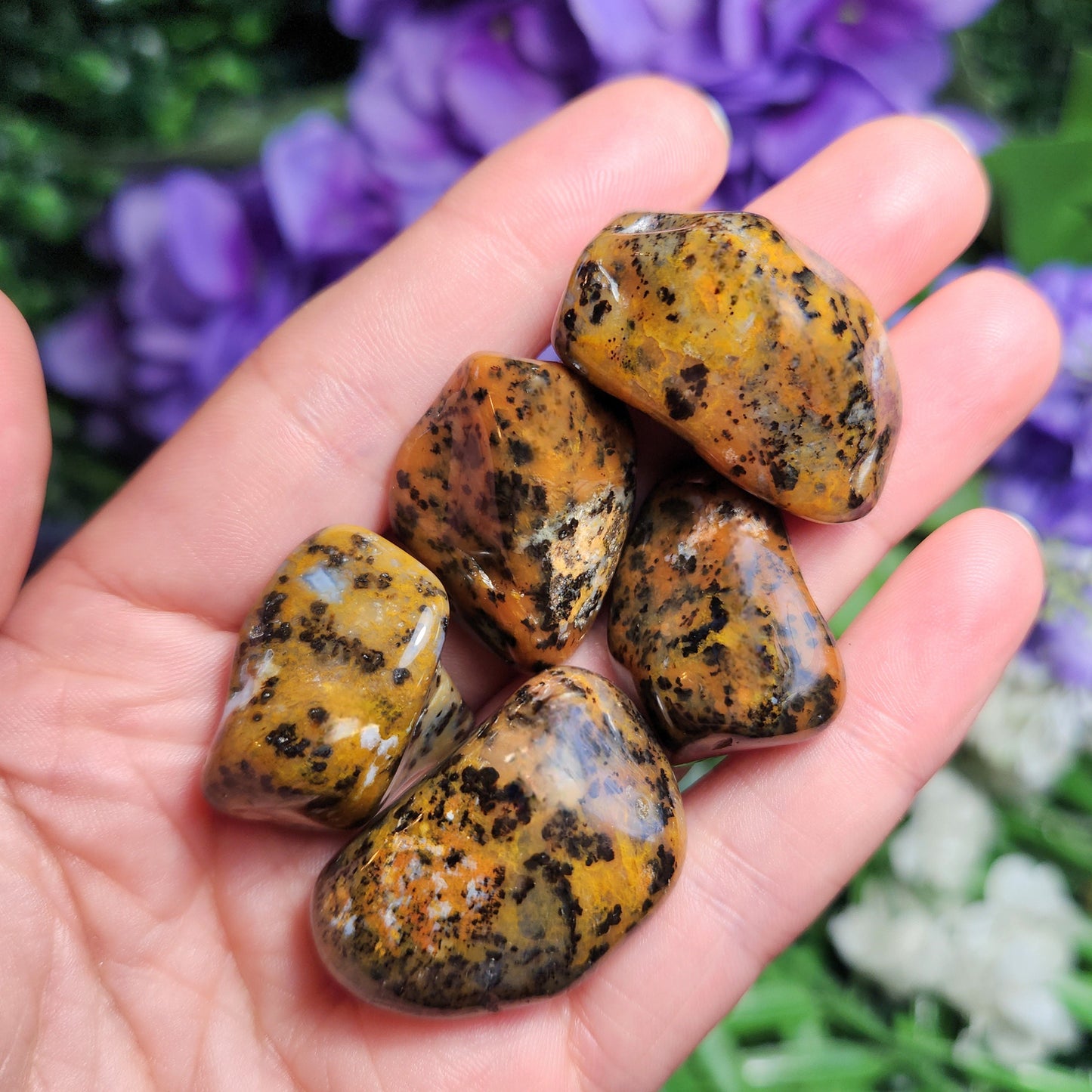 Cheetah Agate Stone