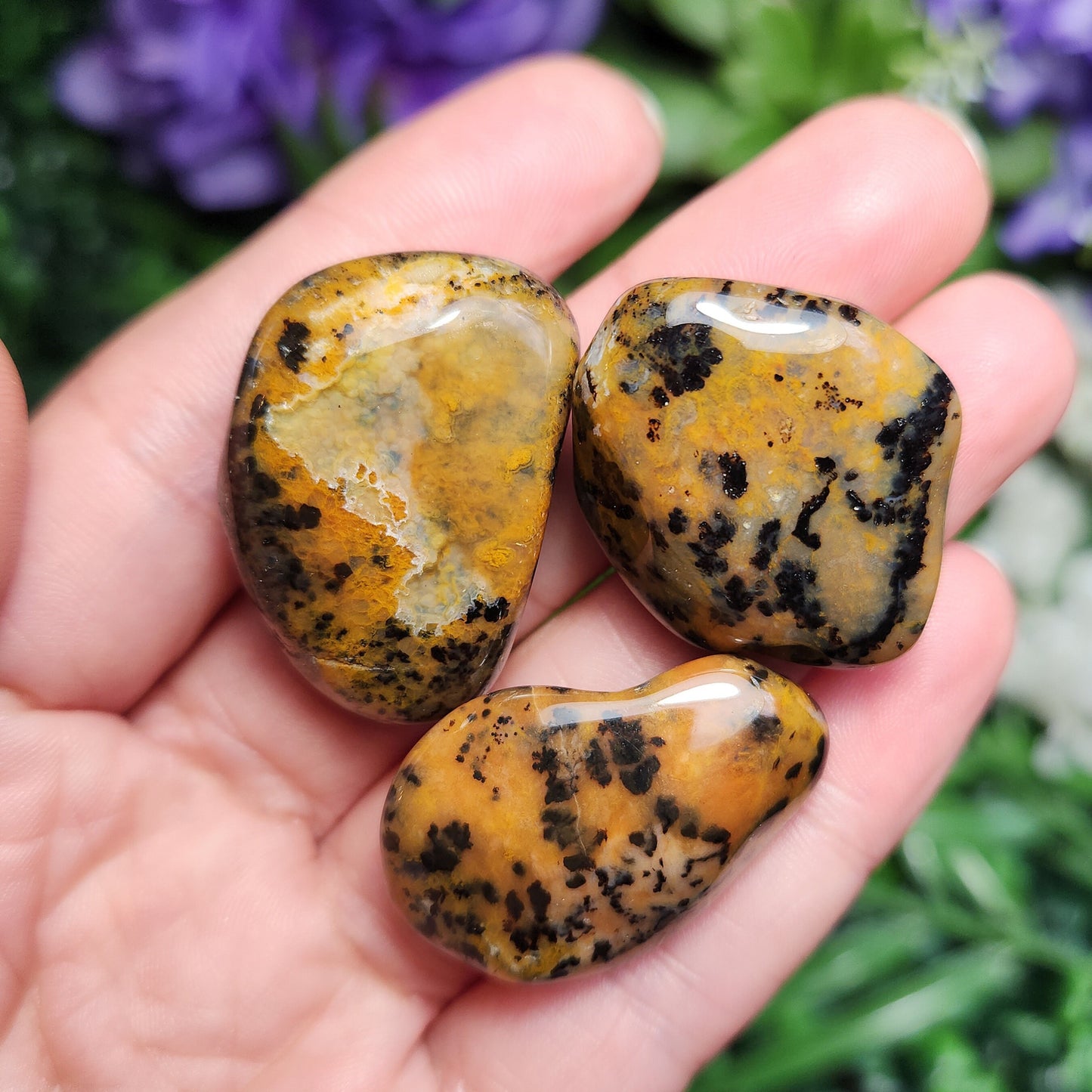 Cheetah Agate Stone