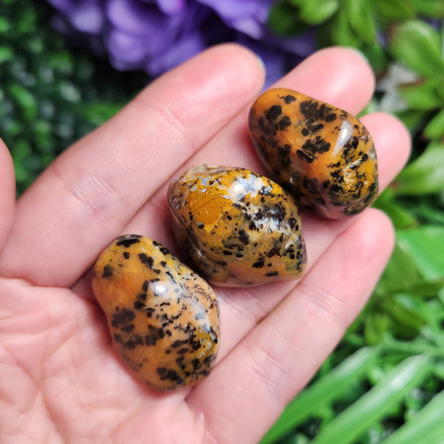 Cheetah Agate Stone