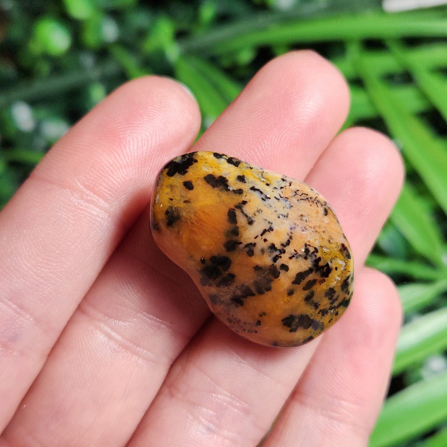 Cheetah Agate Stone