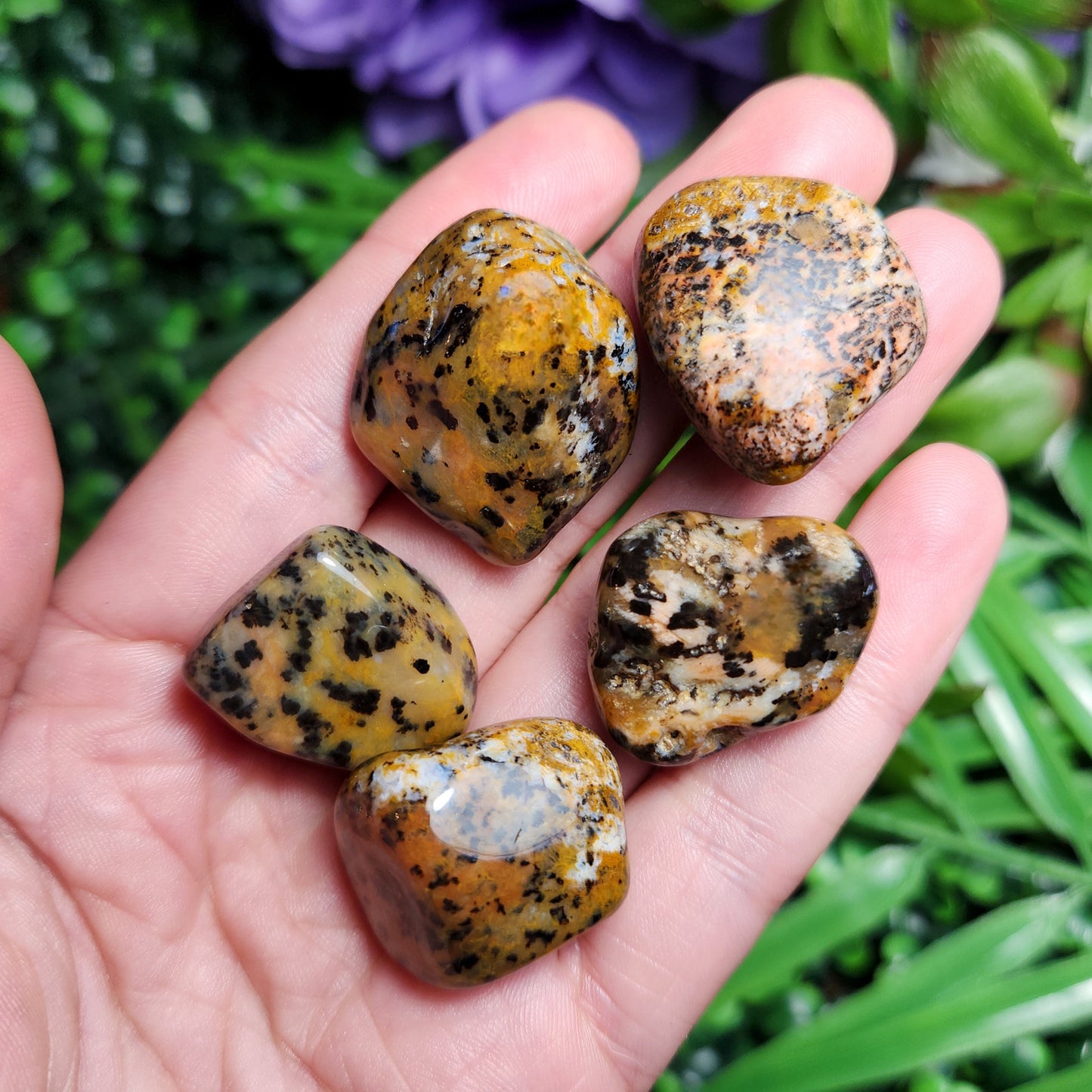 Cheetah Agate Stone