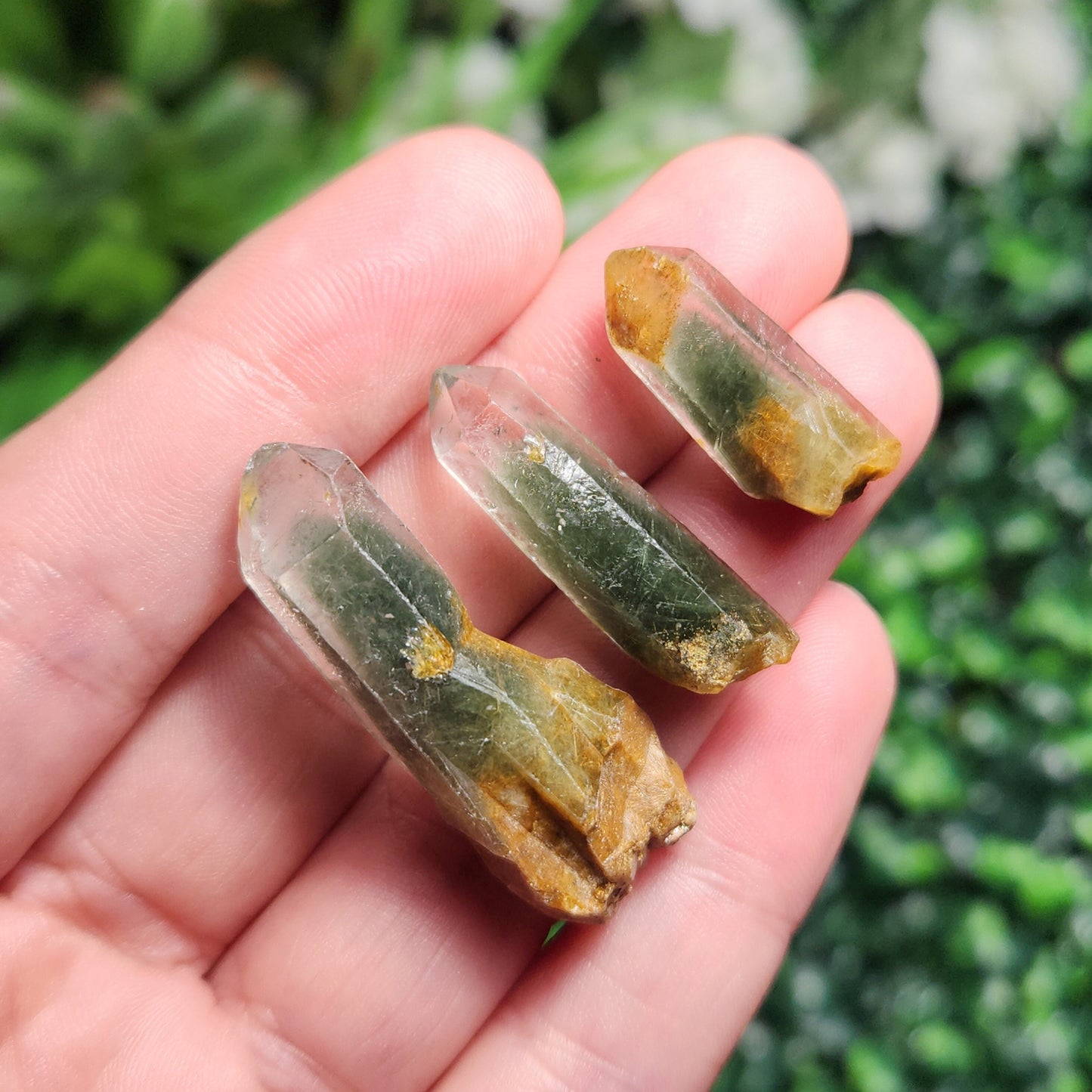 Green Amphibole Phantom Quartz
