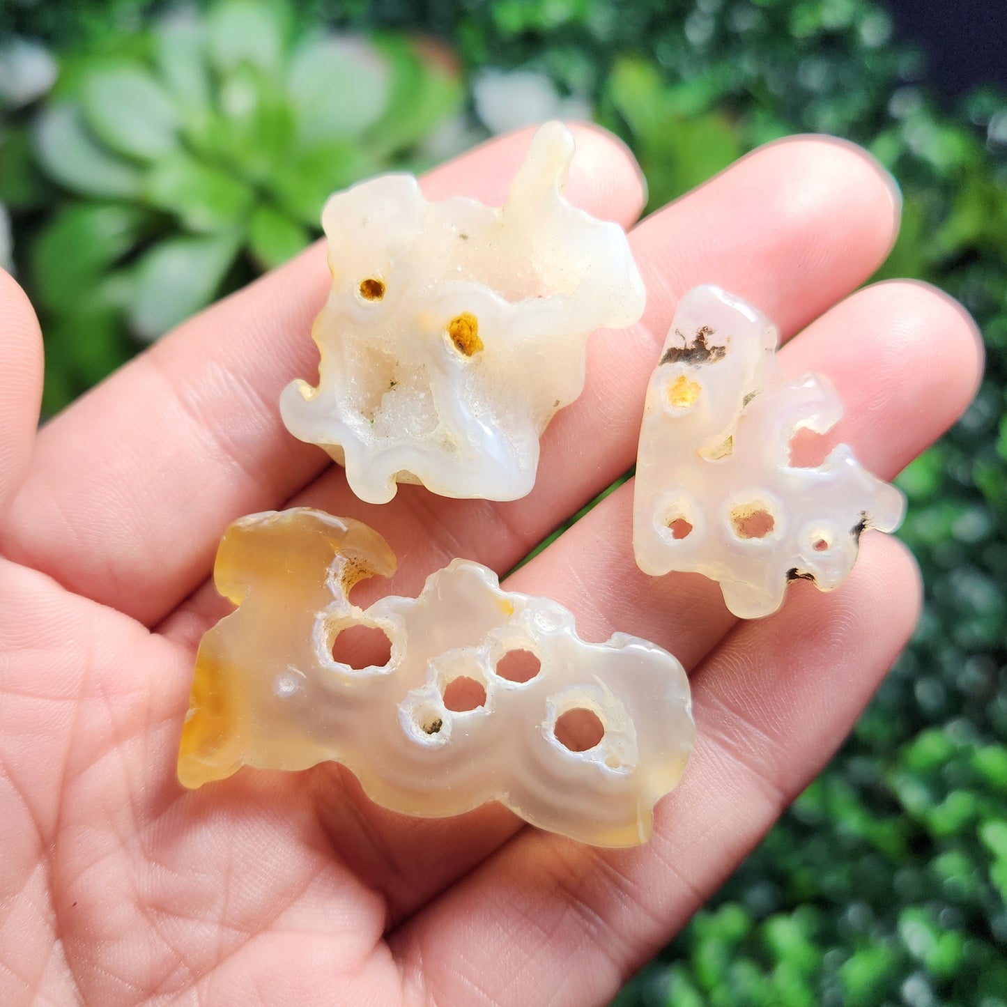 Bamboo Agate with HOLE