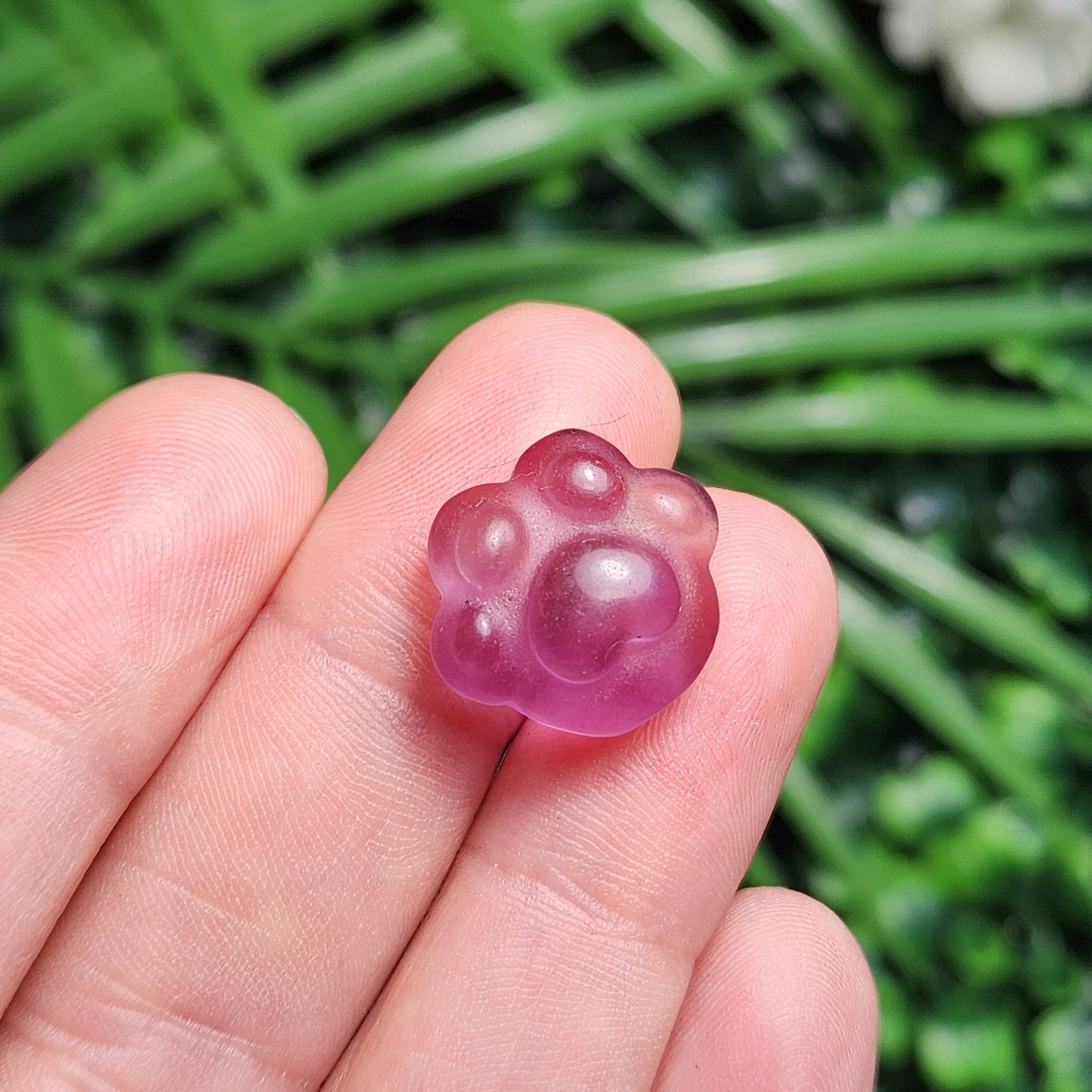 Rainbow Fluorite Paw