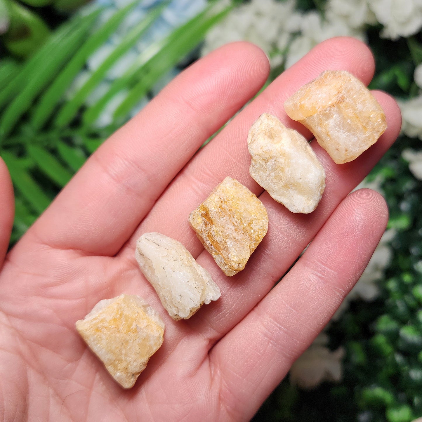 HUGE Phenacite Crystal