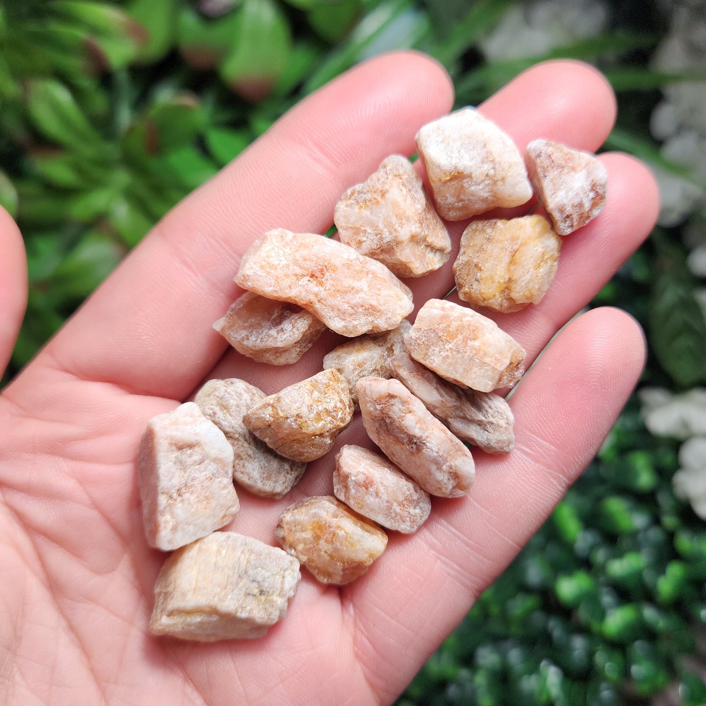 Pink Phenacite Crystal