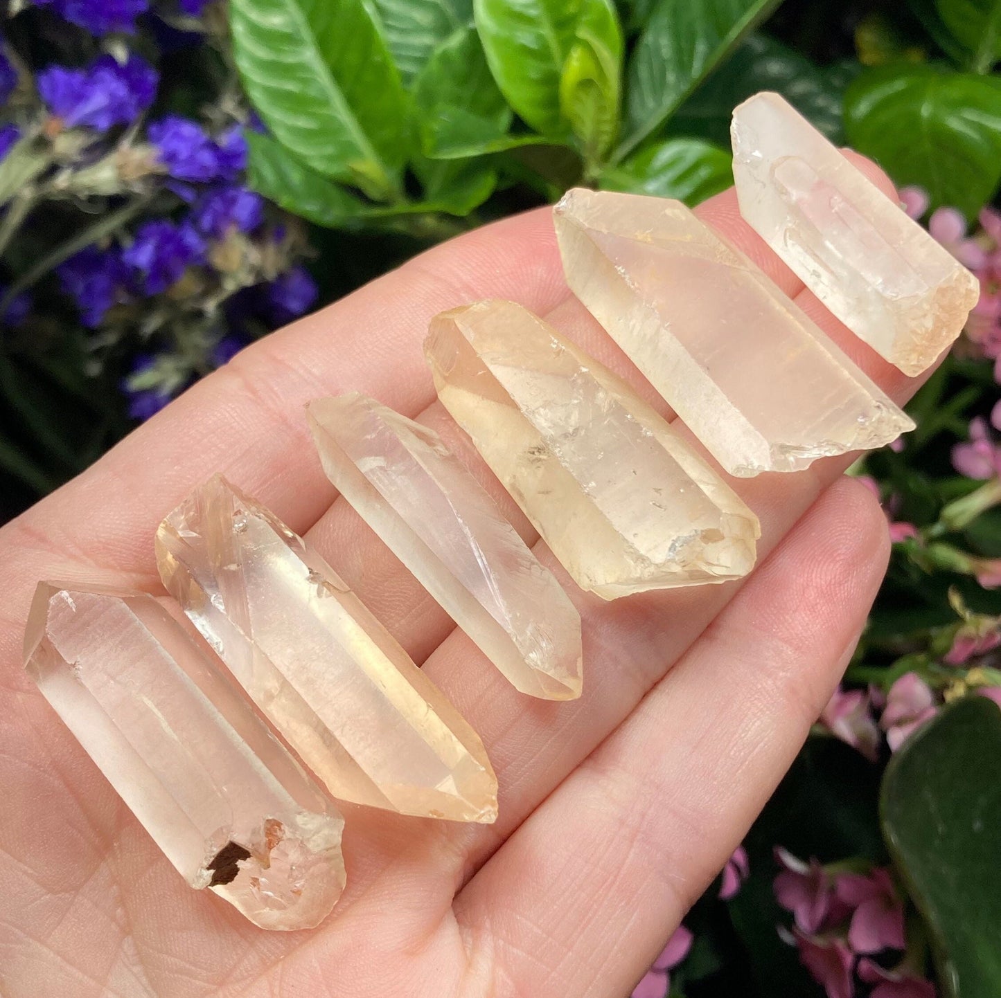 Frosted Golden Lemurian