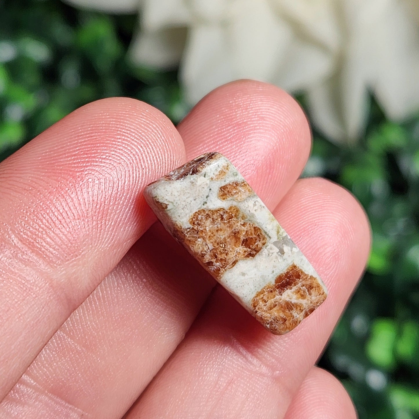 Hessonite Garnet