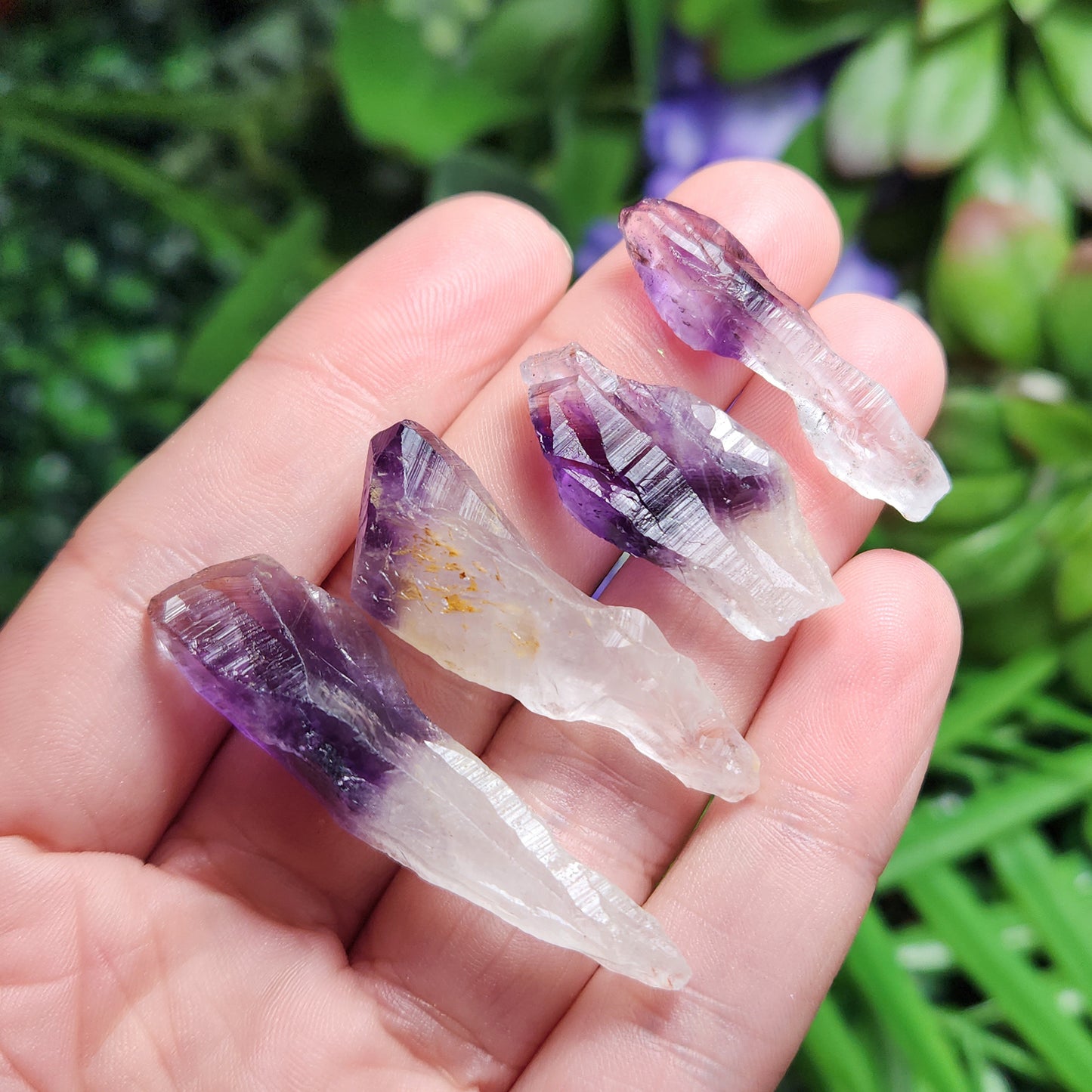 Phantom Amethyst