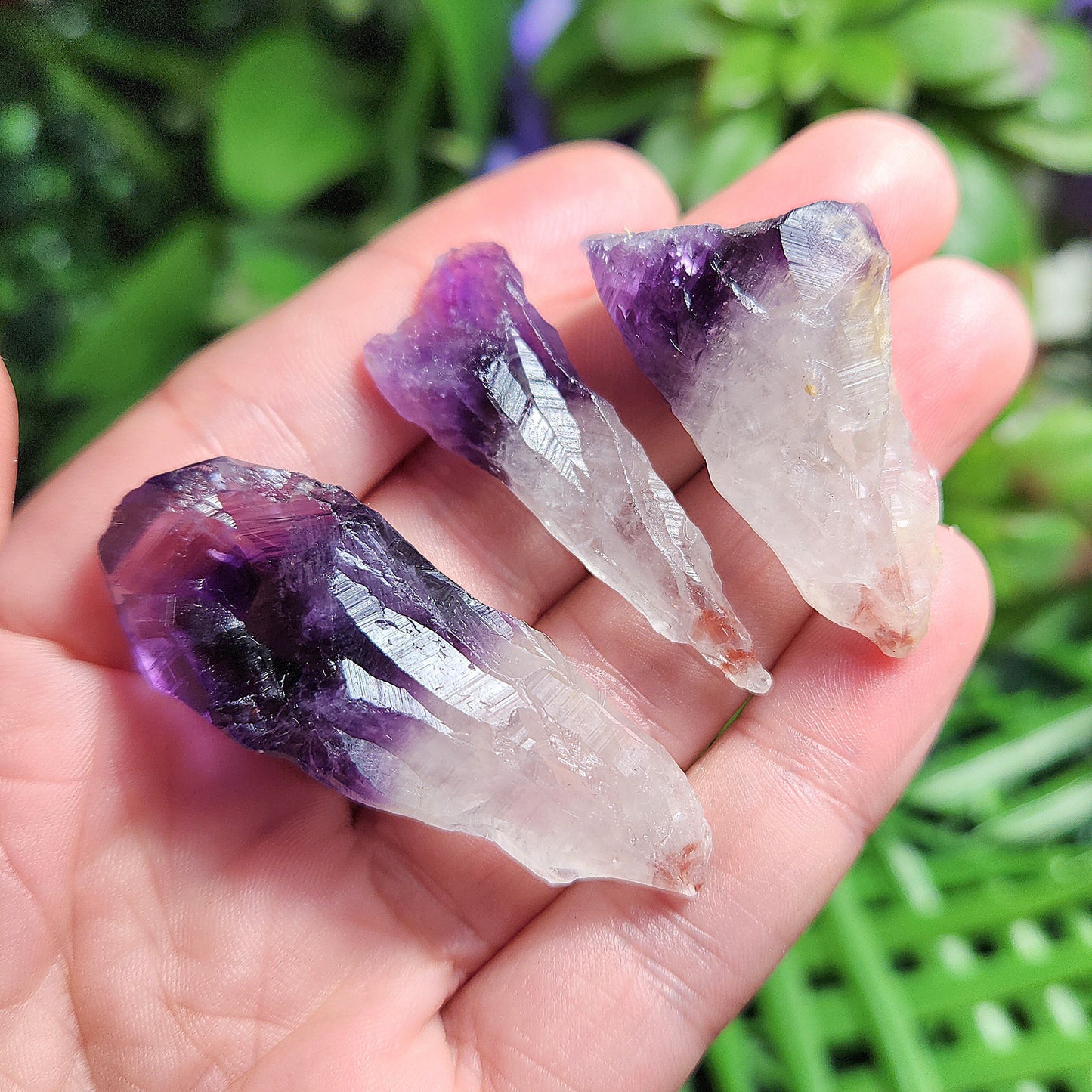 Phantom Amethyst & Red Cacoxenite