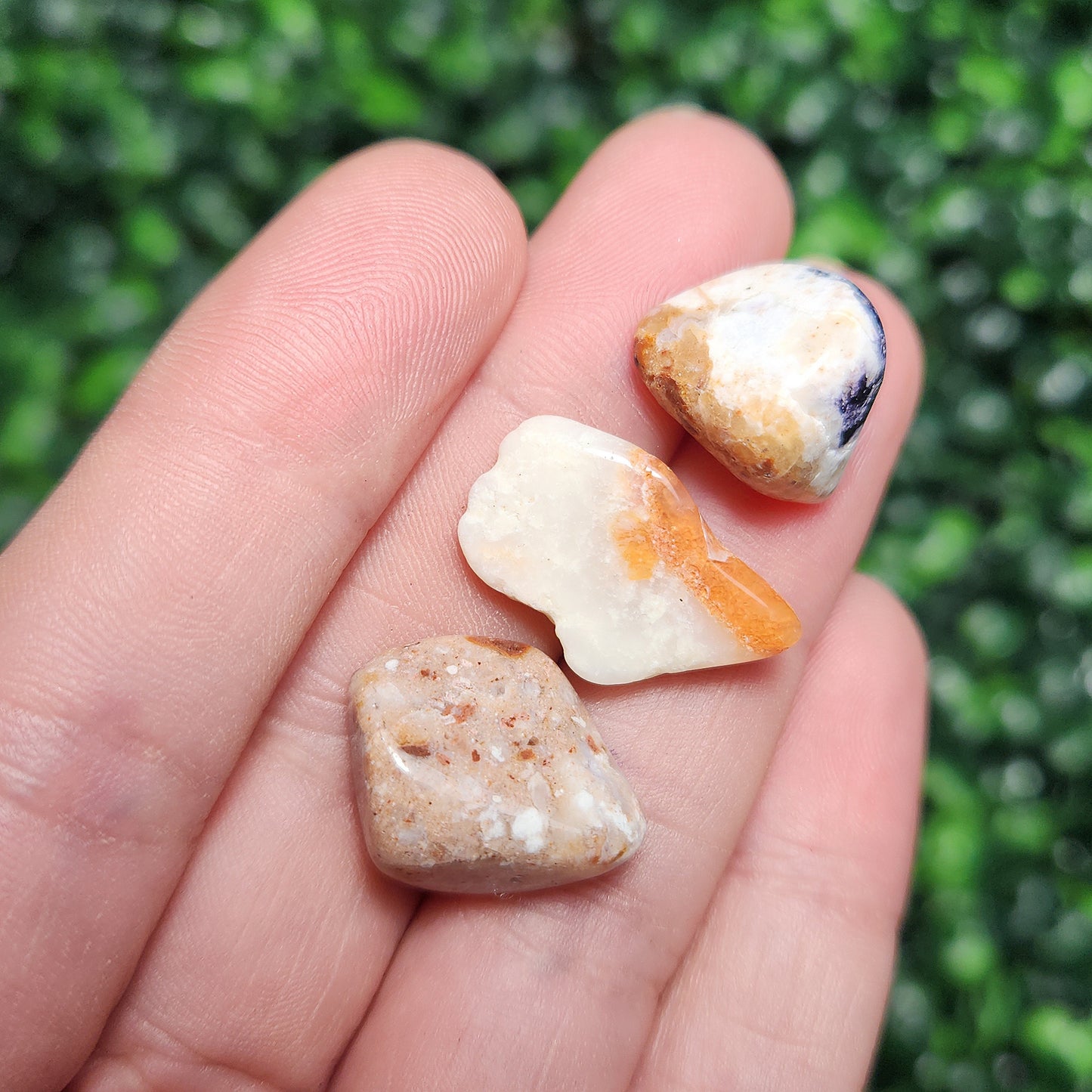 Golden Healer Opal