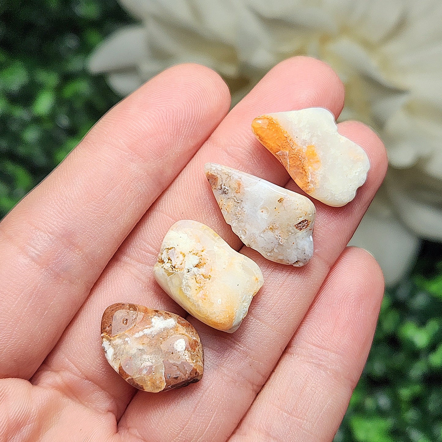 Golden Healer Opal