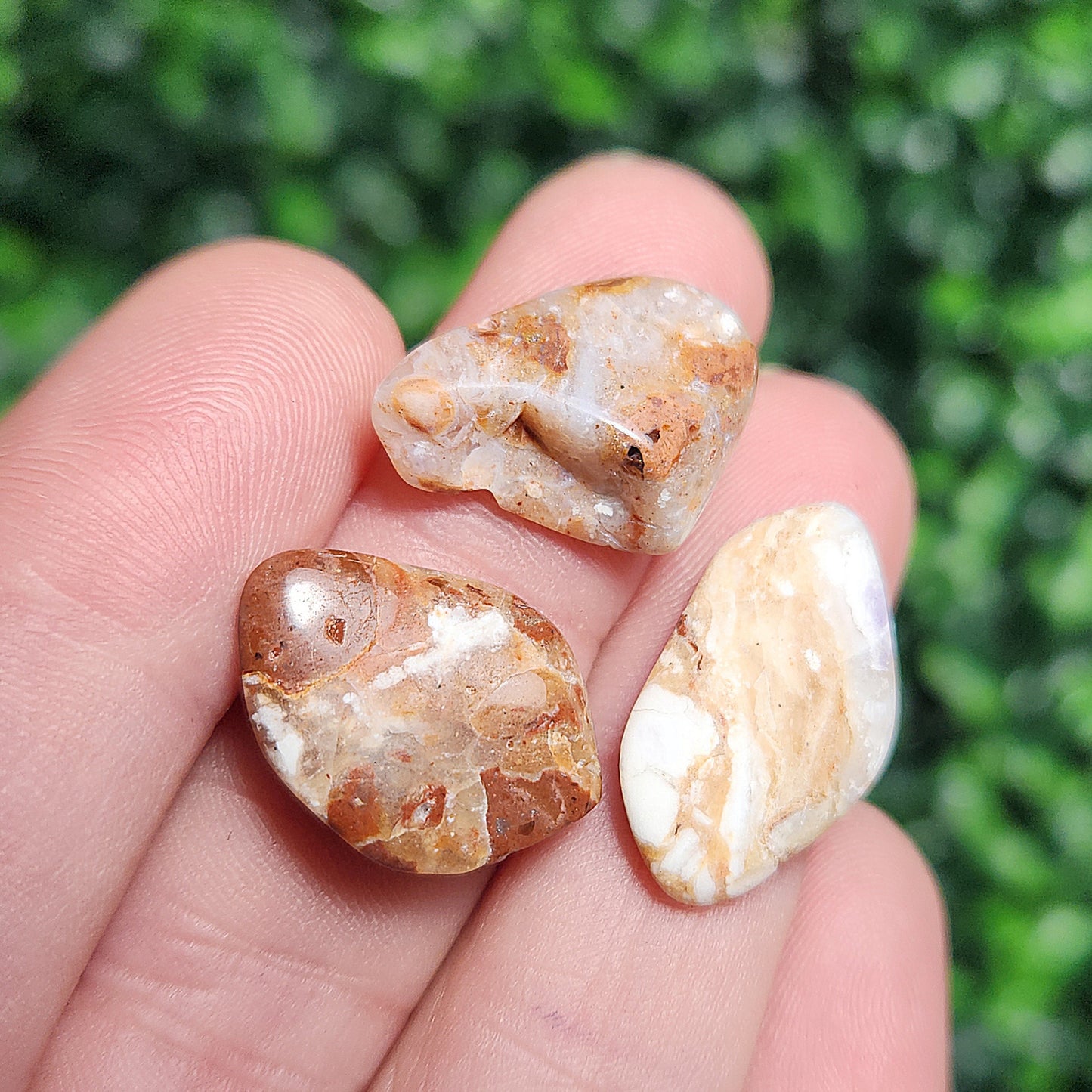 Golden Healer Opal