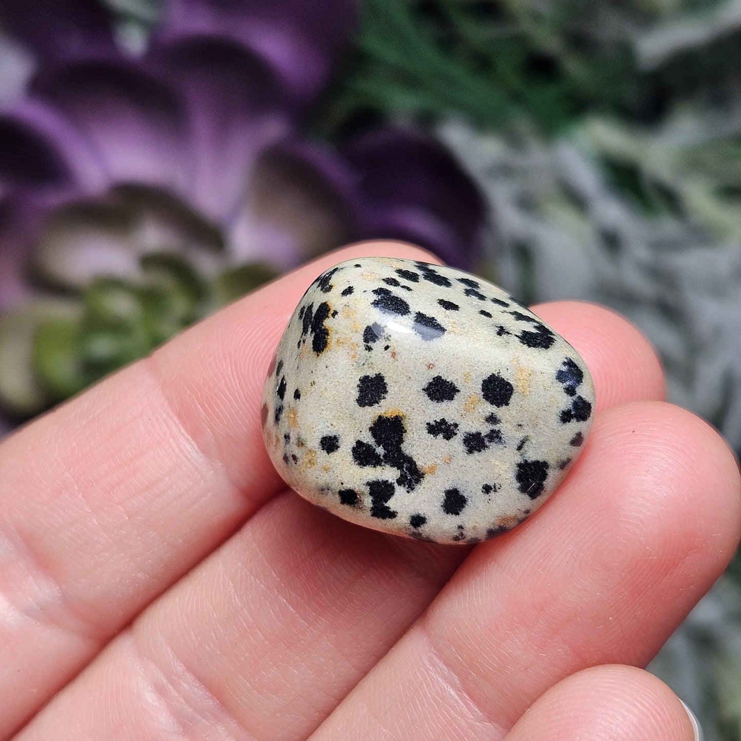 Dalmatian Jasper Stone