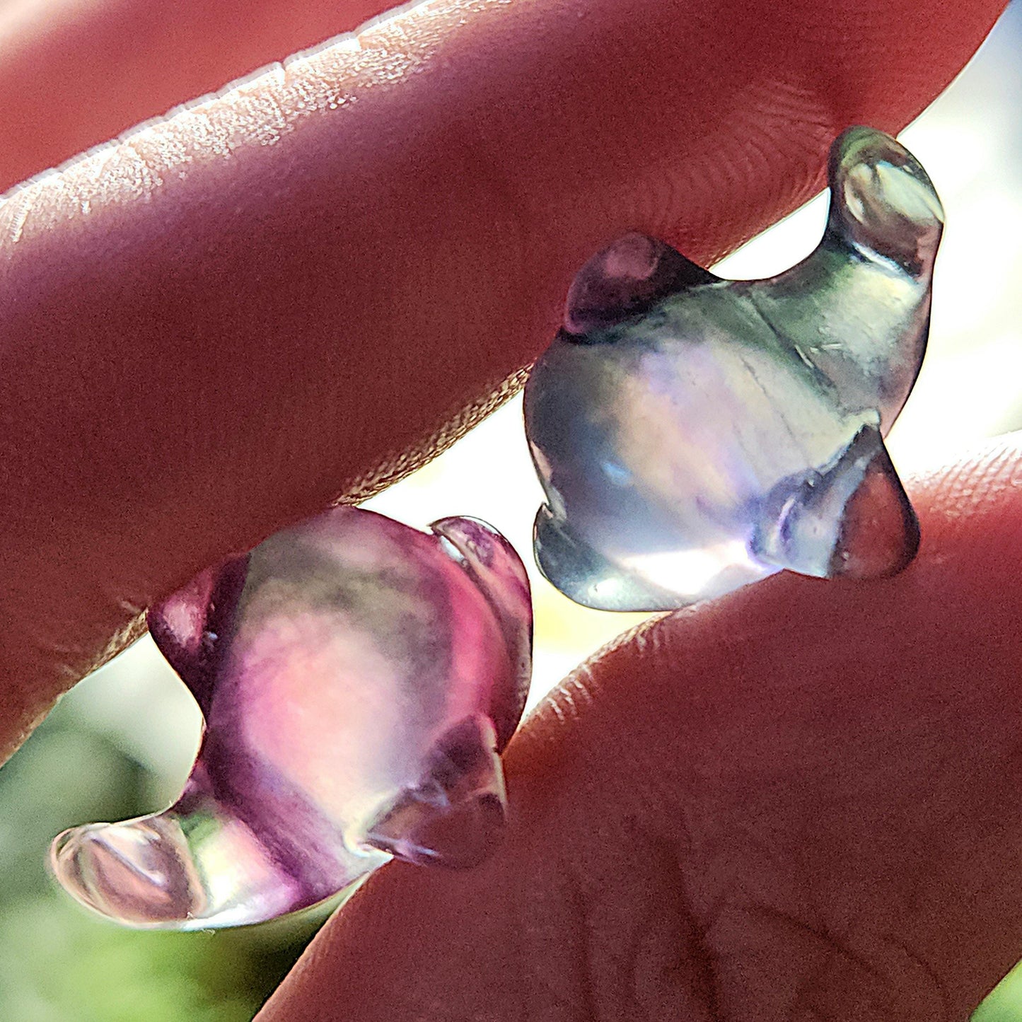 Rainbow Fluorite Dolphin