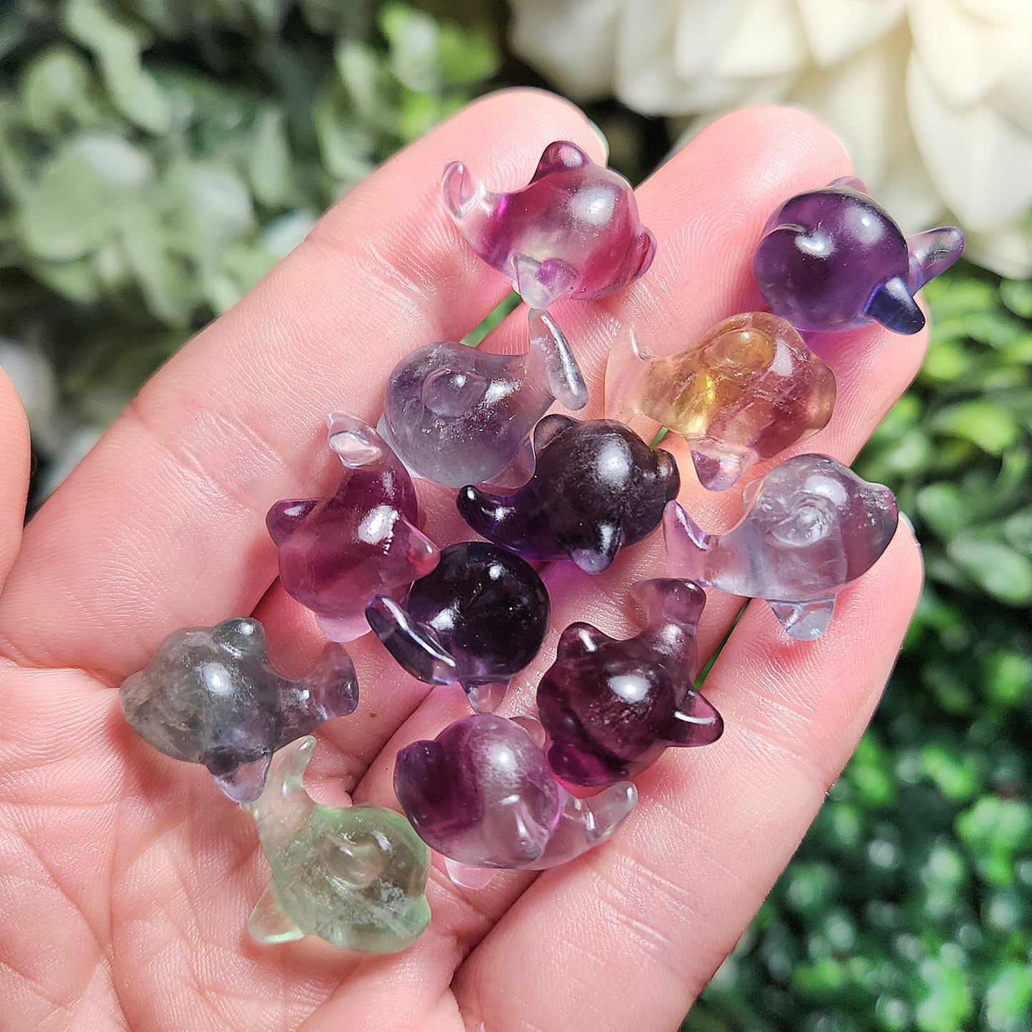 Rainbow Fluorite Dolphin