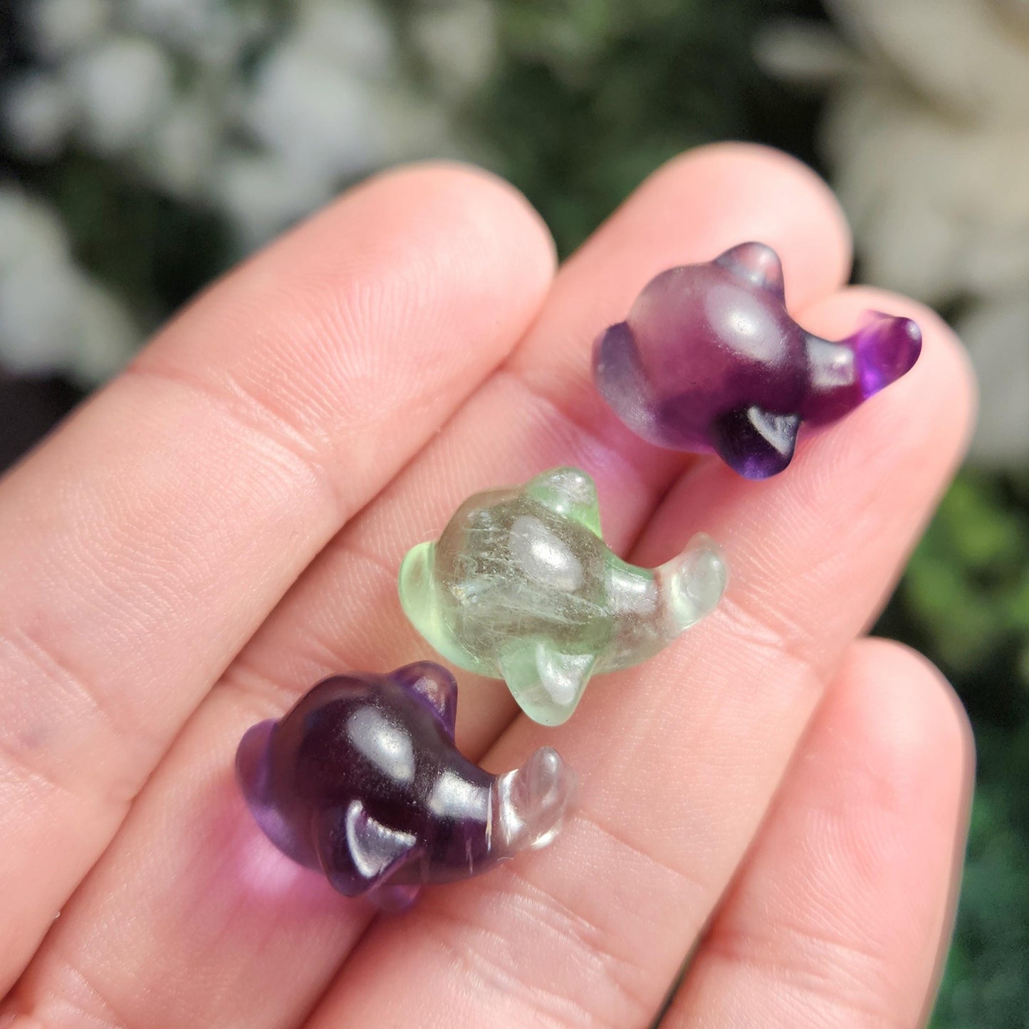 Rainbow Fluorite Dolphin