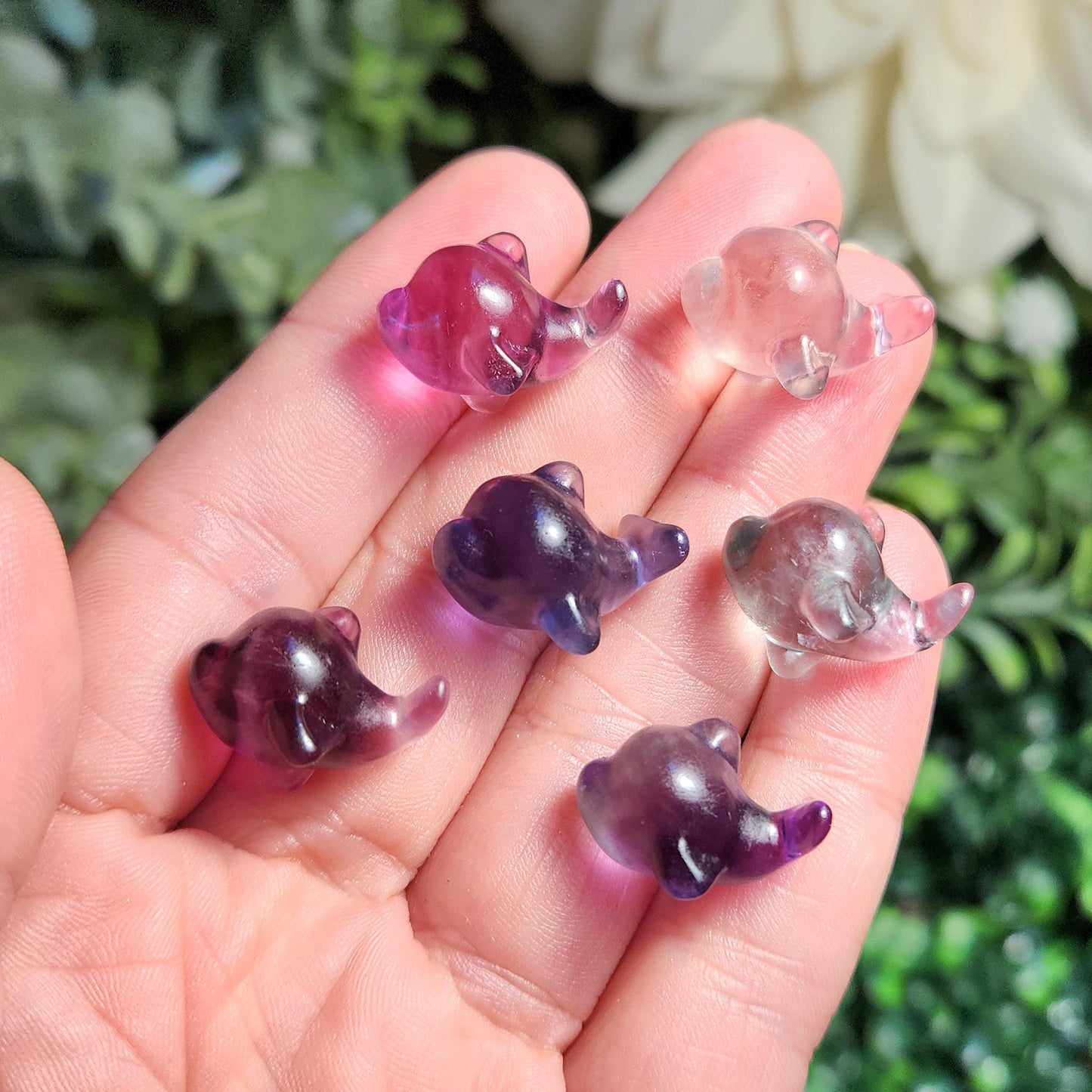 Rainbow Fluorite Dolphin