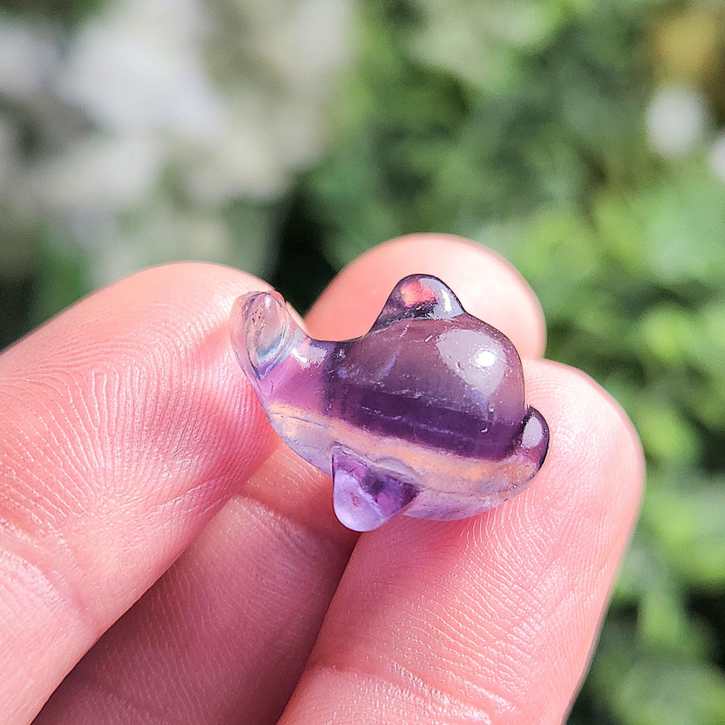 Rainbow Fluorite Dolphin