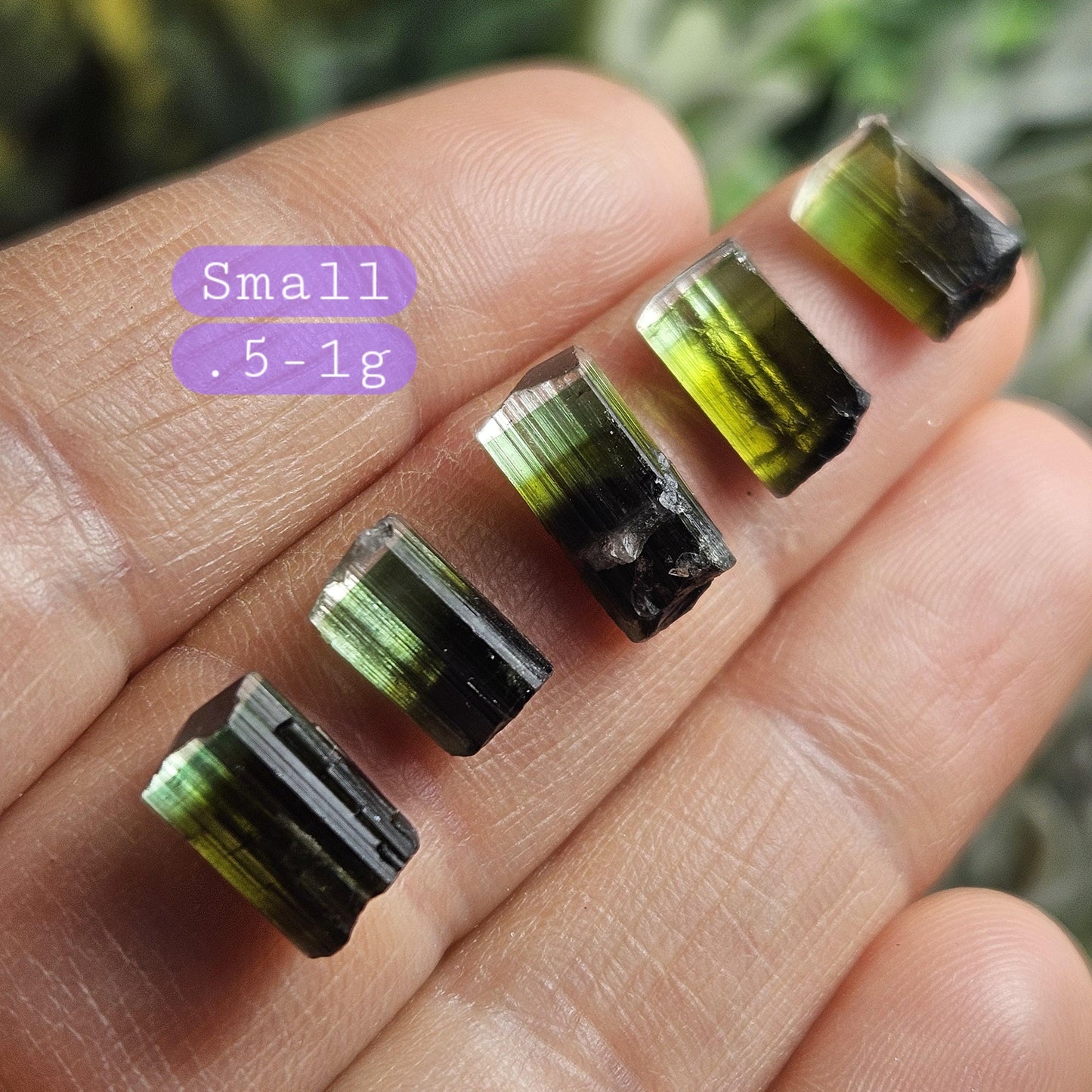 Bicolor Green Tourmaline Crystal