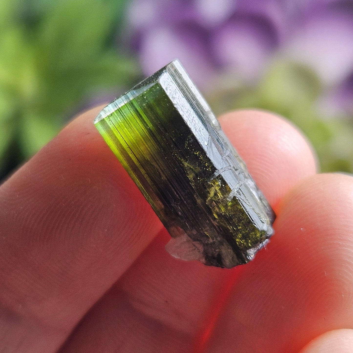 Bicolor Green Tourmaline Crystal