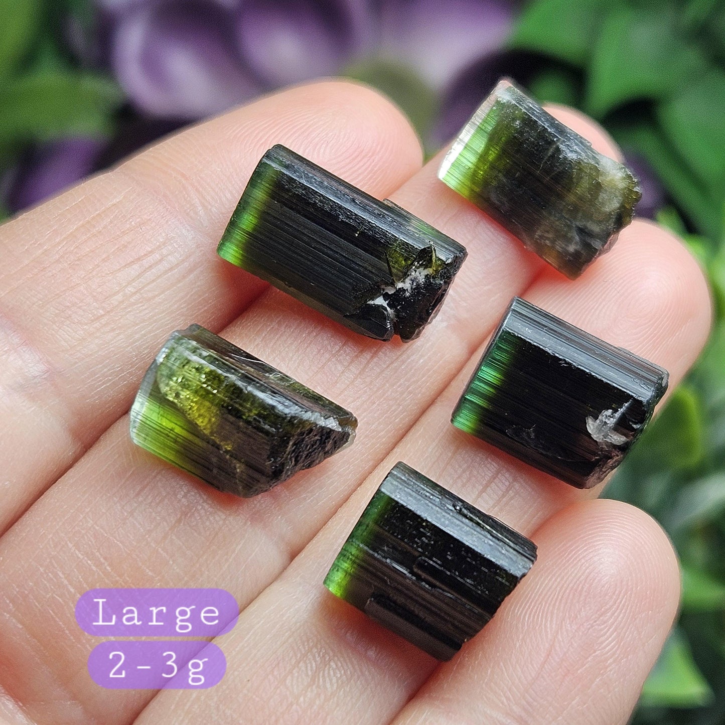 Bicolor Green Tourmaline Crystal