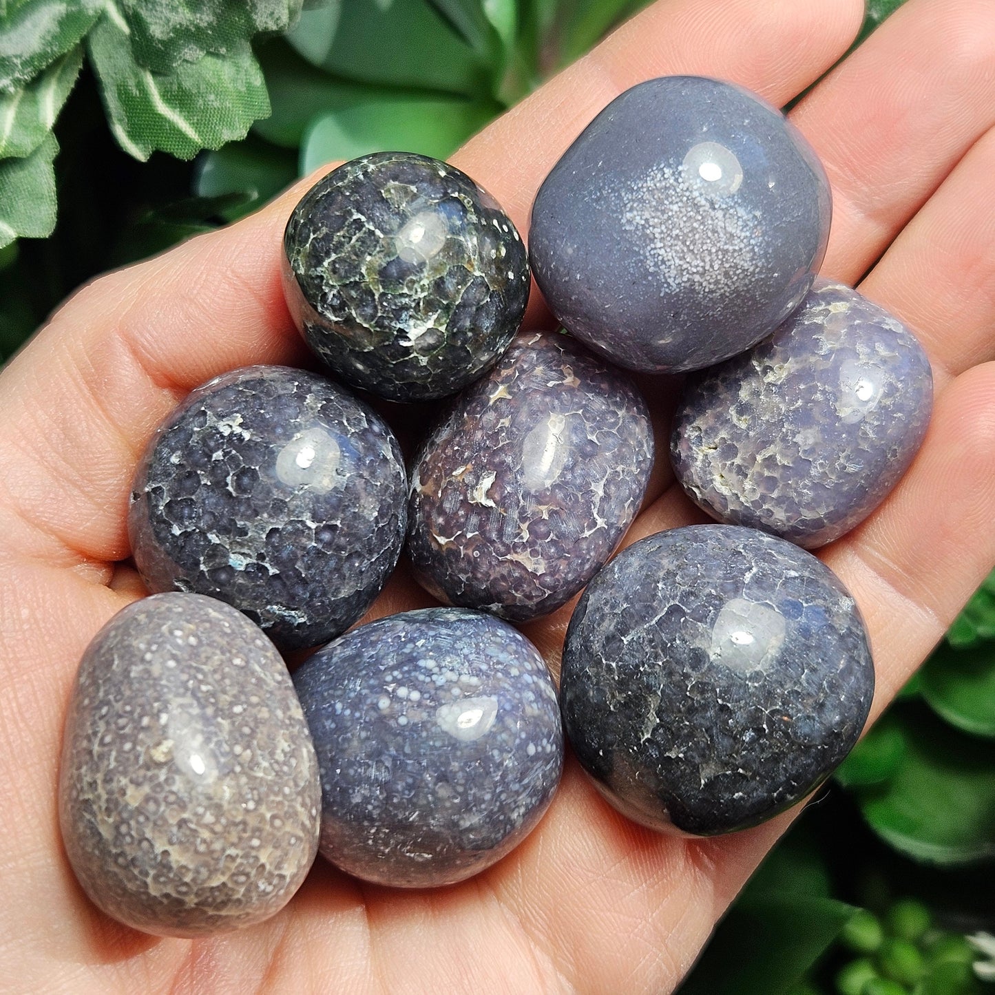 Purple Grape Agate