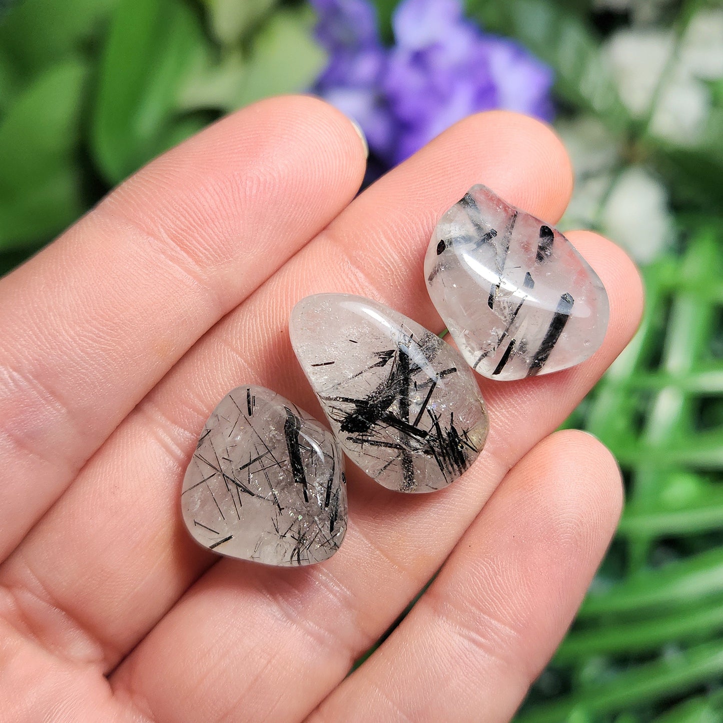 Black Tourmaline in Quartz