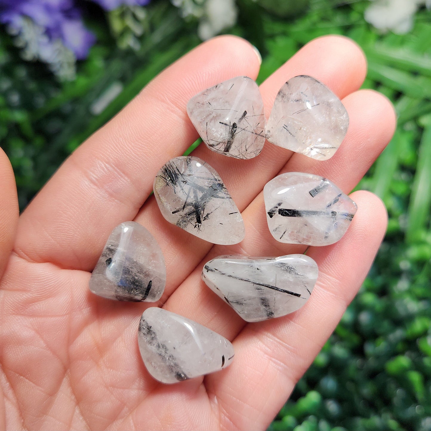 Black Tourmaline in Quartz