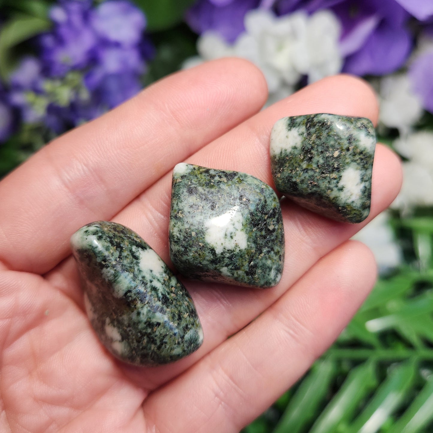 Preseli Bluestone / Stonehenge Bluestone / Preseli Stone / PreseliBluestone / Tumbled Preseli Bluestone / Bluestone / Stonehenge Stone