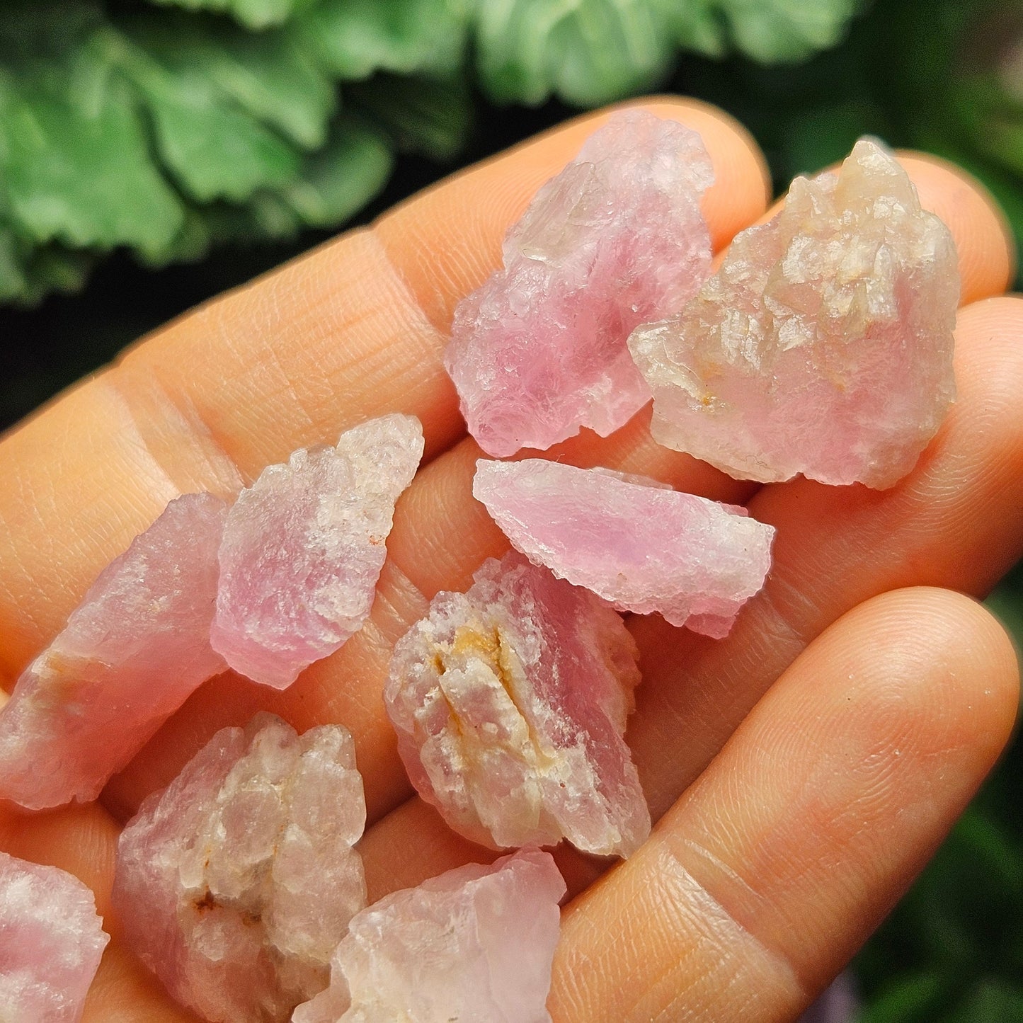 Crystallized Rose Quartz Crystal